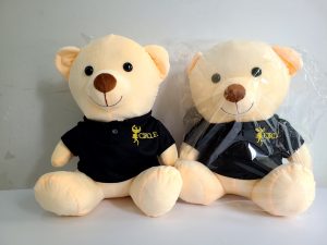 May Gấu Bông Thương Hiệu Y Tế