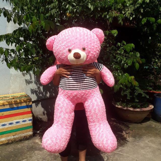 Các Mẫu Gấu Bông 1m2 Giá Rẻ Tại Xưởng