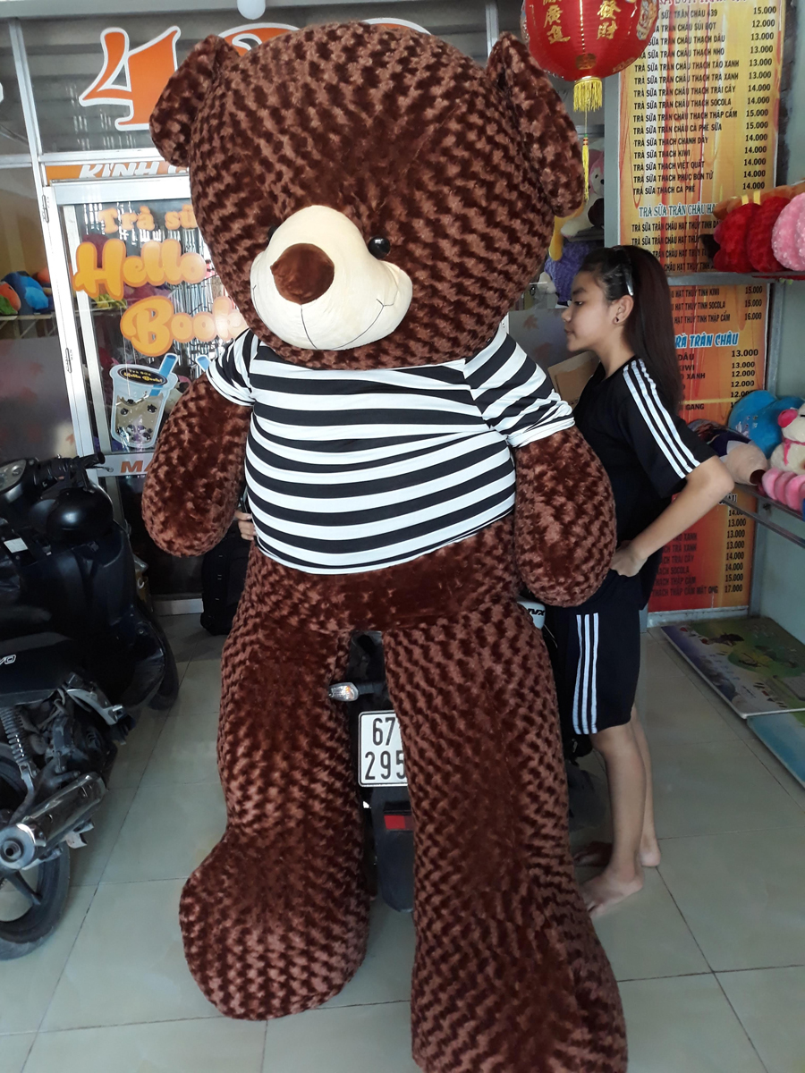 Gấu Bông Khổng Lồ 2m Giá Bao Nhiêu?