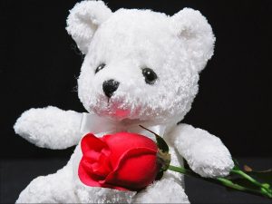 Quà tặng cuối năm cho trường học: Thú bông ý nghĩa