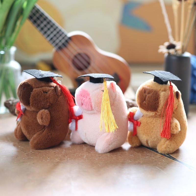 Công Ty Sản Xuất Gấu Tốt Nghiệp Chất Lượng, Thiết Kế Theo Yêu Cầu