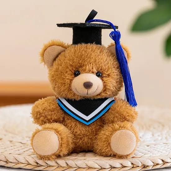 Xưởng Sản Xuất Gấu Bông Tốt Nghiệp Cho Lễ Tốt Nghiệp Đại Học