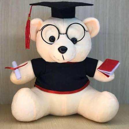 Xưởng Sản Xuất Gấu Bông Tốt Nghiệp In Thêu Logo Trường Học