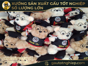 Gấu bông tốt nghiệp in / thêu tên theo yêu cầu
